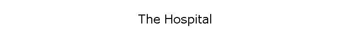 The Hospital