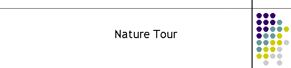 Nature Tour