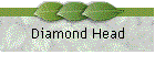Diamond Head