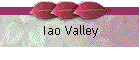 Iao Valley