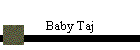 Baby Taj