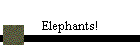 Elephants!