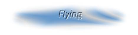 flyin_header.jpg (3786 bytes)