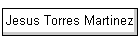 Jesus Torres Martinez